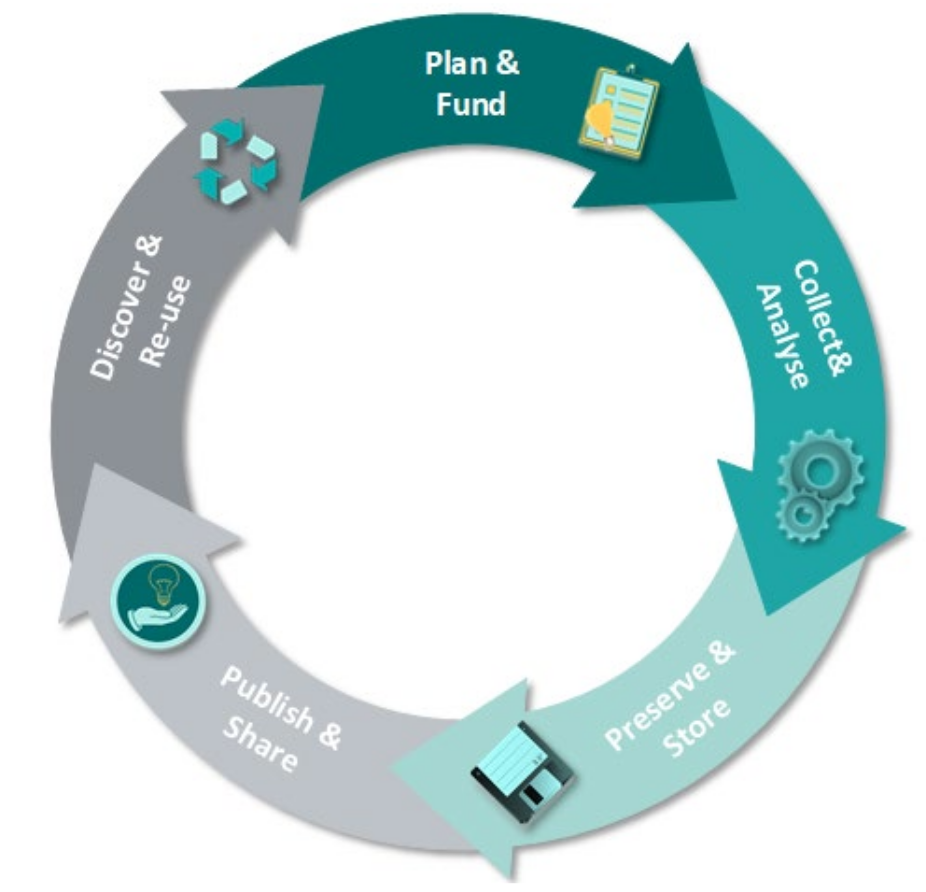 An image of the data life cycle